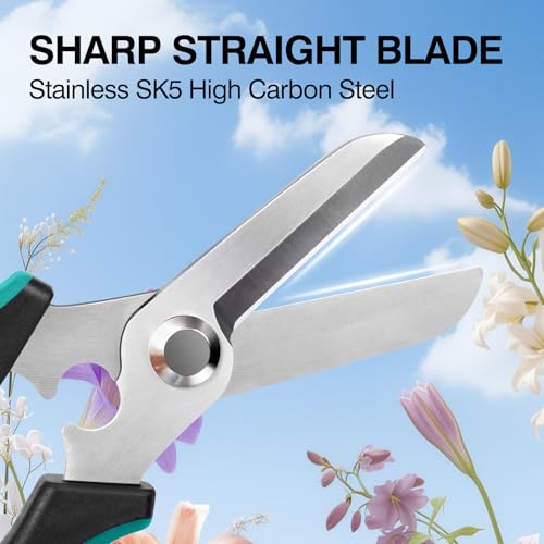 Pruning Shears