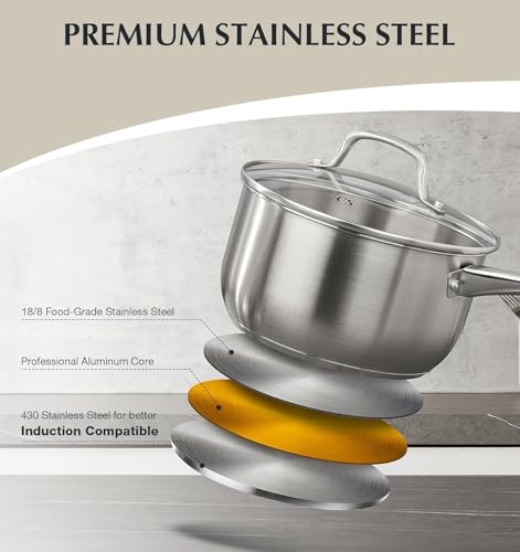 Stainless Steel Pots and Pans Set (Class Silver / 10 PCS)