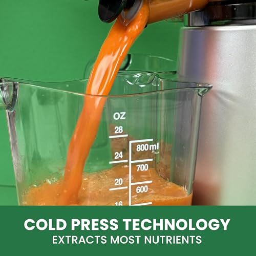 Juicer Cold Press 365 Vertical 65 RPM Slow Masticating Compact Extractor for Fruits and Vegetables with 3 Stage Auger & BPA (Silver Vertical)