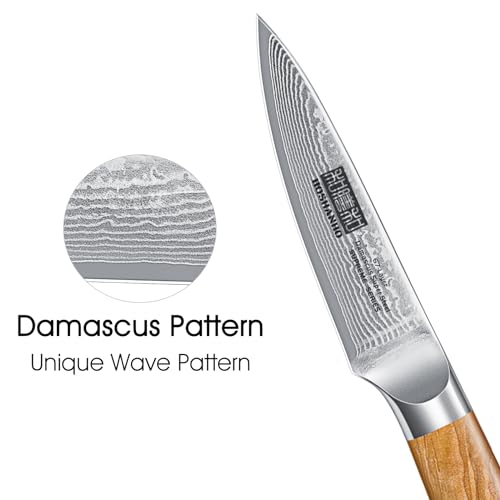 Damascus Paring Knife 3.75" (3.75 inch Paring Knife)