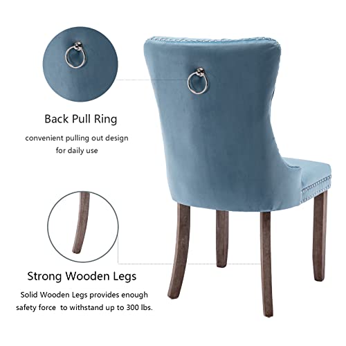 Light Blue Velvet Dining Chairs Set of 6 (Light Blue)