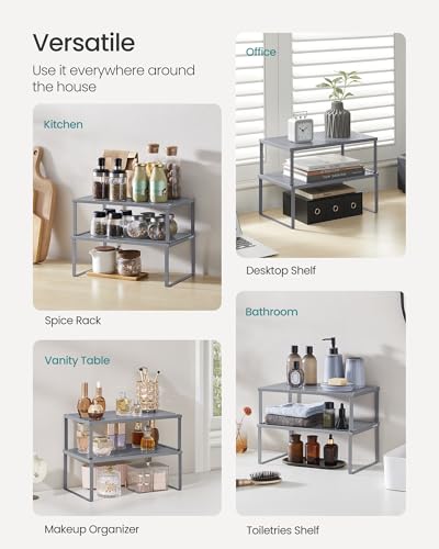 Set of 2 Metal Spice Racks (Silver / 2 Tiers (9"D x 15.7"W))