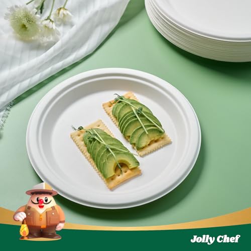 Compostable Heavy Duty Plates 𝟭𝟬 𝗜𝗻𝗰𝗵 [𝟭𝟮𝟱 𝗣𝗮𝗰𝗸] Eco (125 Count (Pack of 1) / White)