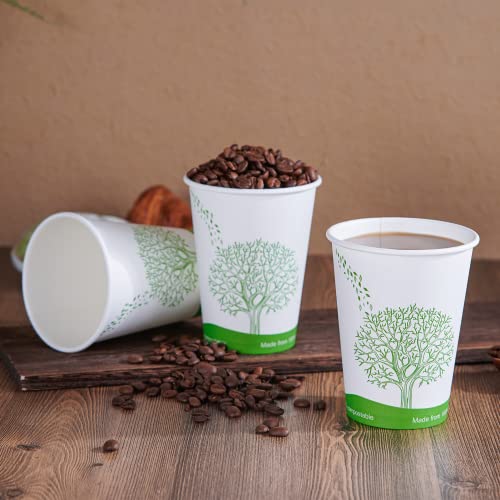 240 Count 12 oz Compostable Paper Cup (240Pack 12oz PLA Cups)