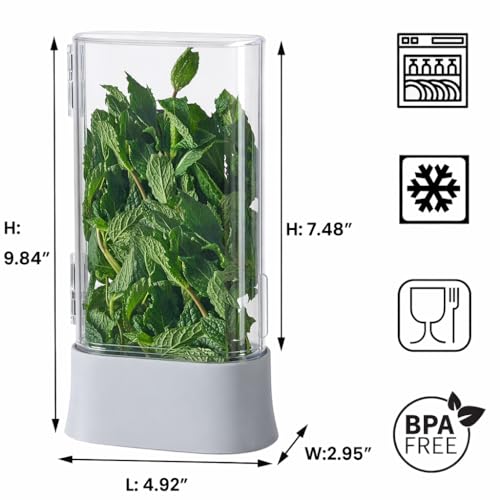 Herb Keeper for Refrigerator (1 PACK)