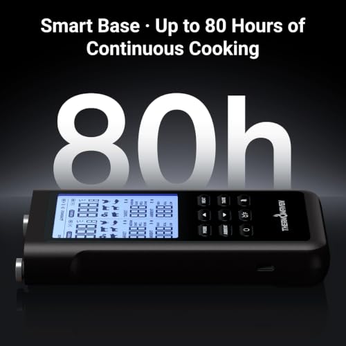 Sub 1G Wireless Meat Thermometer (Black)