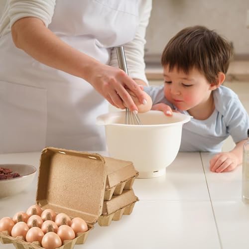 Egg Cartons 20 Pack