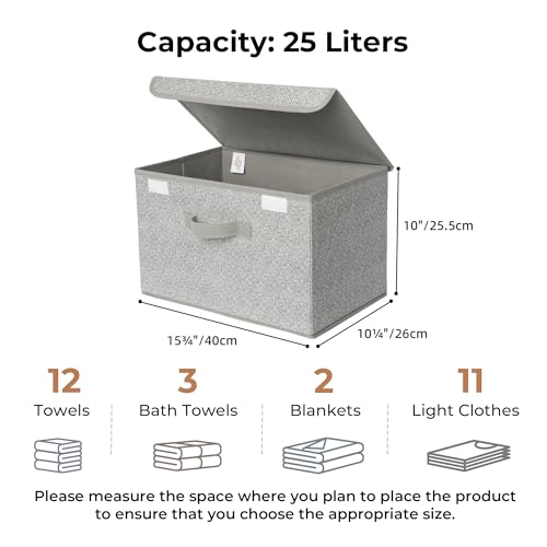 Storage Baskets with Lids (Ash Gray / Large-2 Pack)