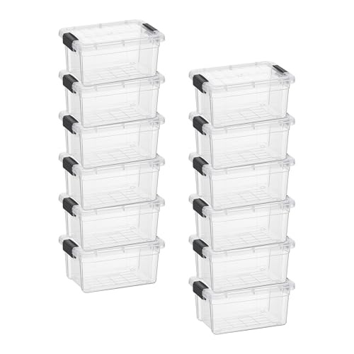 1.05 Quart Mini Clear Plastic Storage Container with Lid (1.05 Quart)