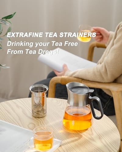 17 oz Small Glass Teapot with Infuser For Loose Leaf Tea Steeper (17 oz (No Cups))