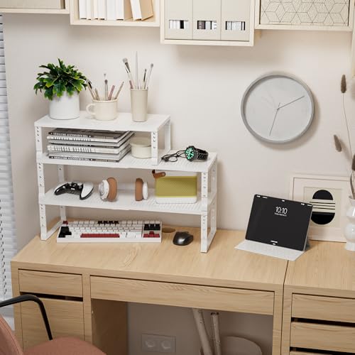 Expandable Adjustable & Stackable Spice Rack (White / 1PACK/WHITE/LARGE)