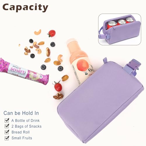 Small Insulated Lunch box Portable Soft Bag Mini Cooler Thermal Meal Tote Kit with Buckle for Work