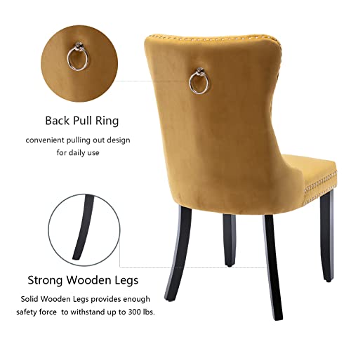 Gold Velvet Dining Chairs Set of 6 (Glod)
