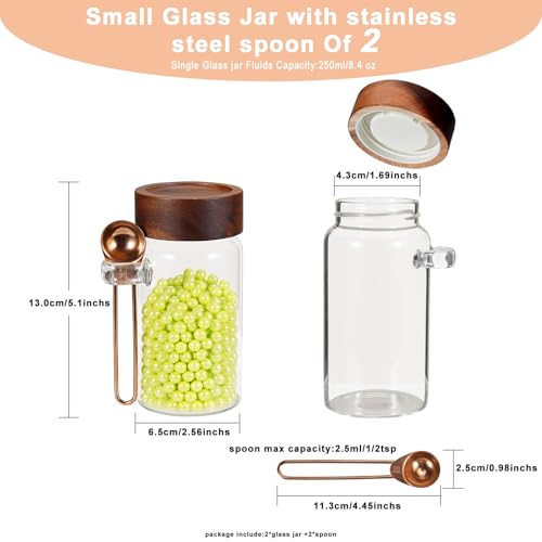 8 oz Small Glass Mason Jars with Scoop Wooden Screw Lid Spice Herb Storage Container Clear Round Glass Food Canister for Seasoning Sugar Tea Coffee Bean Spice Salts Pantry (2×250ml(8.4oz)with scoop)