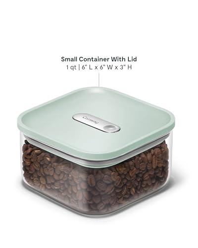 1 qt Glass Airtight Food Storage Container with Lid (Mist / 1qt Container)