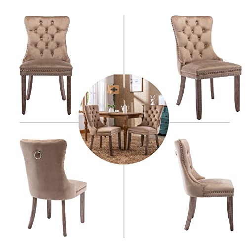 Khaki Velvet Dining Chairs Set of 4 (Khiki)