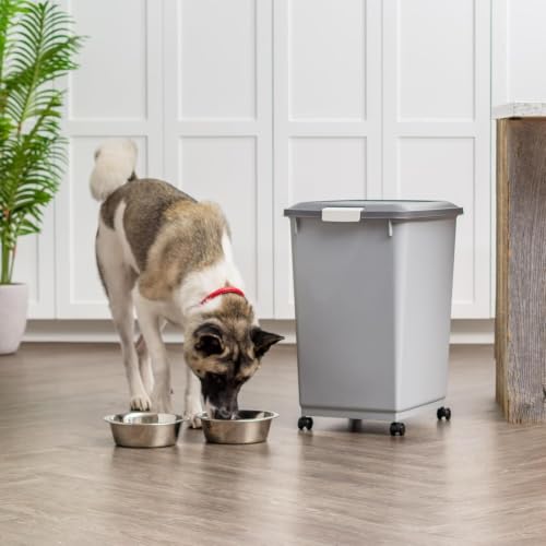 Dog Food Storage Container (54 lbs / Gray/Dark Gray)