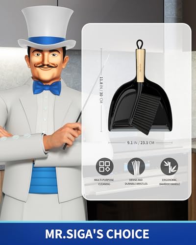 Dustpan and Brush Set