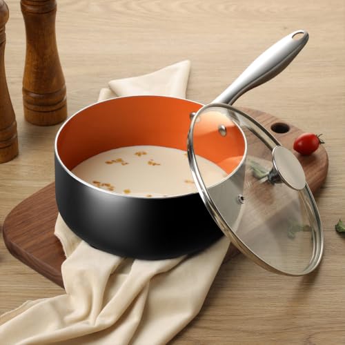 1 Quart Saucepan with Lid (1 Quarts)