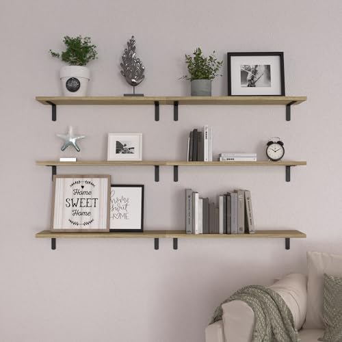 24'' Long Floating Shelves for Wall Decor & Storage (24 Inch / Rustic Brown)