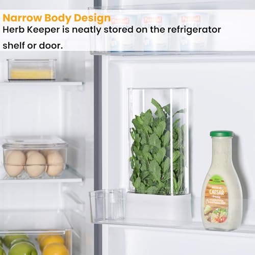 Herb Keeper for Refrigerator (2 PACK)