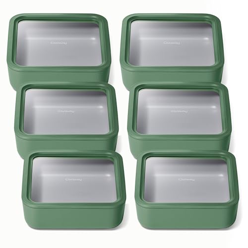 6 Piece Glass Food Storage Container Set (Sage / 10 Cup Food Storage (6x))