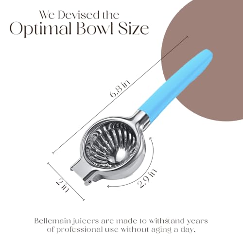 Metal Lemon Squeezer