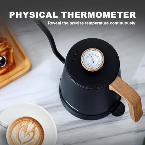 Electric Gooseneck Kettle with Thermometer (BLACK)