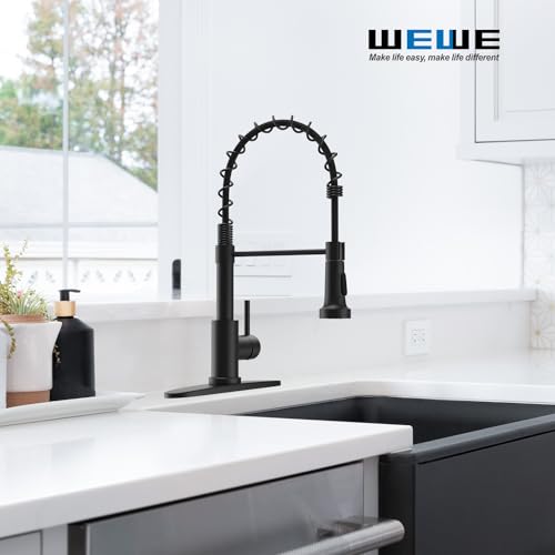 Black Kitchen Faucet with Pull Down Sprayer (Matte Black)