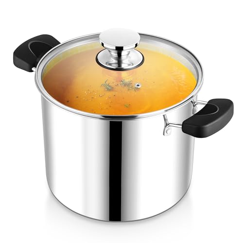 12 Qt Pot with Lid (12 Quarts)