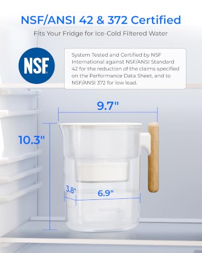 PT 04C Water Filter Pitcher