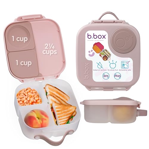 Mini Lunch Box