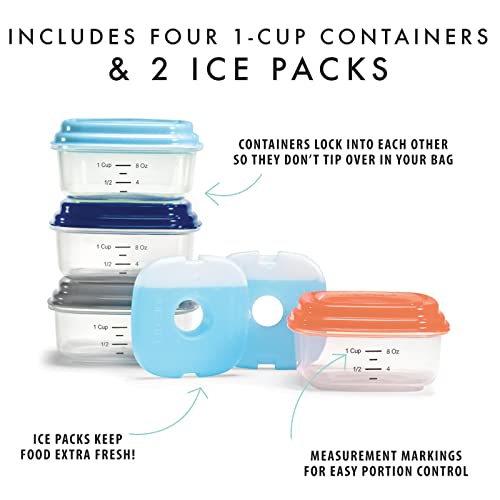 Small Plastic Containers With Lids 8 oz (1 Cup)