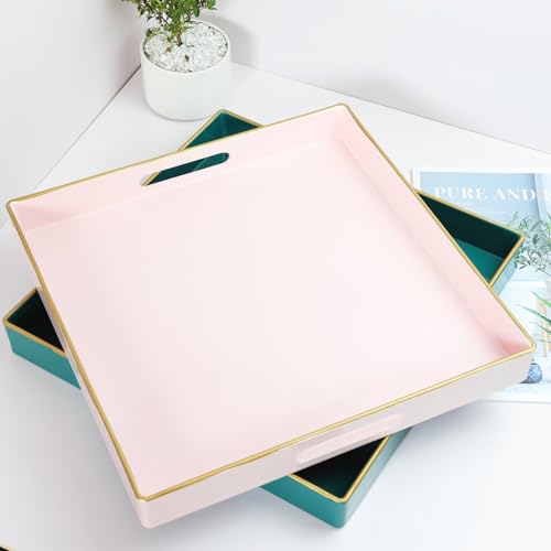 Pink Decorative Serving Tray with Handles (Dl006r)