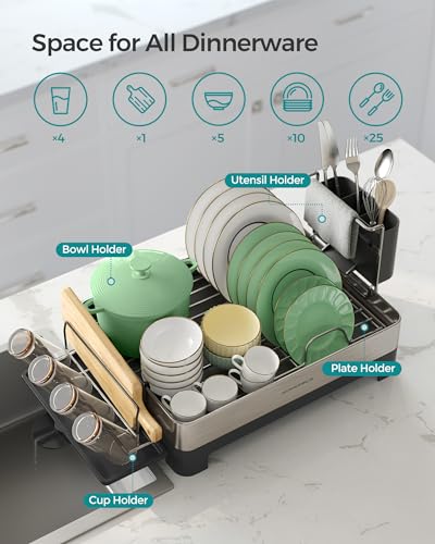 Dish Drying Rack (Silver + Black / 12.5"D x 22.5"W x 9.7"H)