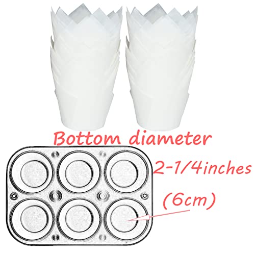 500 pcs Large size White Tulip Baking Cups 2 (White)
