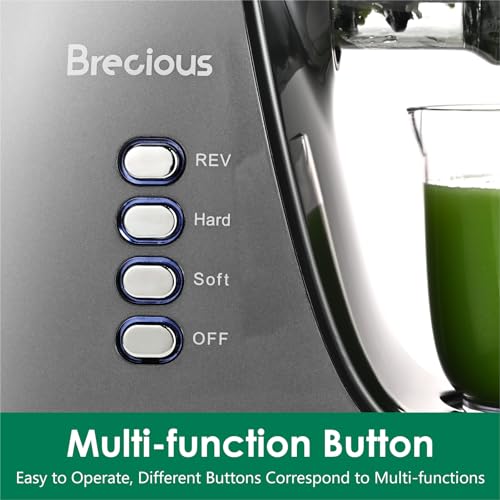 Slow Masticating Juicer