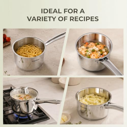 Stainless Steel Saucepan