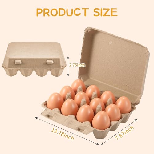 Egg Cartons 20 Pack