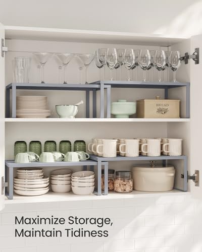 Set of 2 Metal Spice Racks (Silver / 2 Tiers (9"D x 15.7"W))