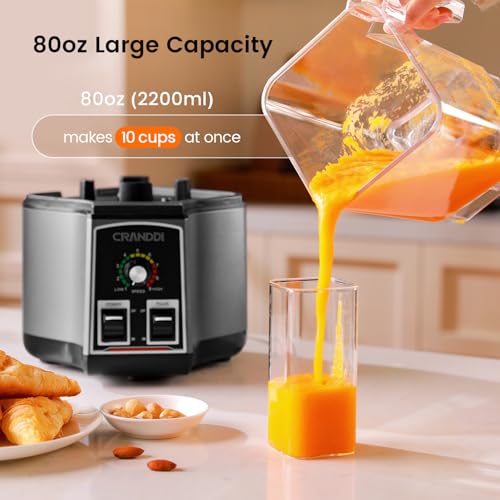 Commercial Blender for Crushing Ice (Grey)