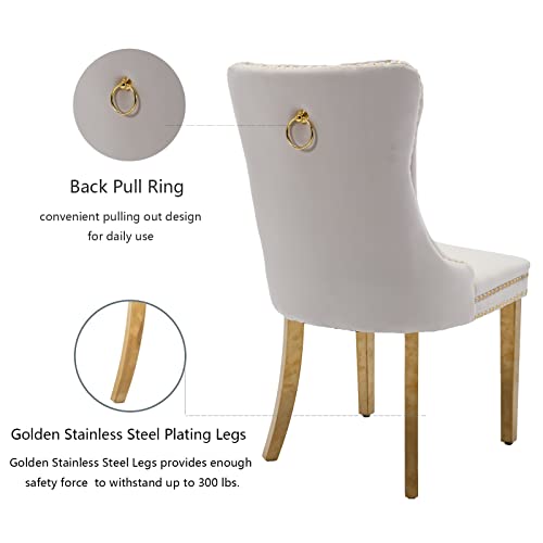 Beige and Gold Velvet Dining Chairs Set of 2 (Classic Beige)