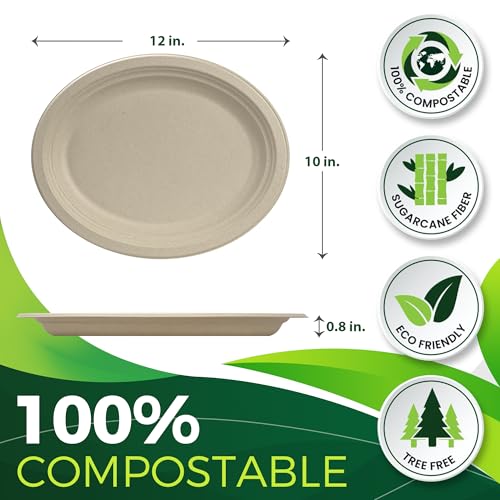 100PCS 100% Compostable Original Oval Paper Plates (Original / 12in Oval(100count))