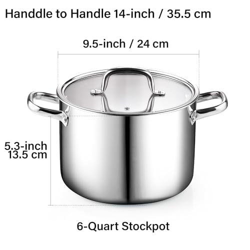 6 Quart Tri Ply Clad Stainless Steel Stockpot with Glass Lid (6 Quarts / Silver)