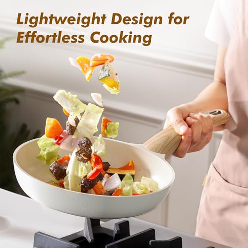 9.5inch Ceramic Nonstick Frying Pan Paella Pan (9.5 Inch / CERAMIC White)