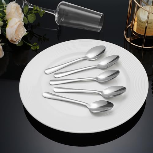 Windsor 60 Pcs Stainless Steel Dinner Spoons (60-piece Dinner Spoon)