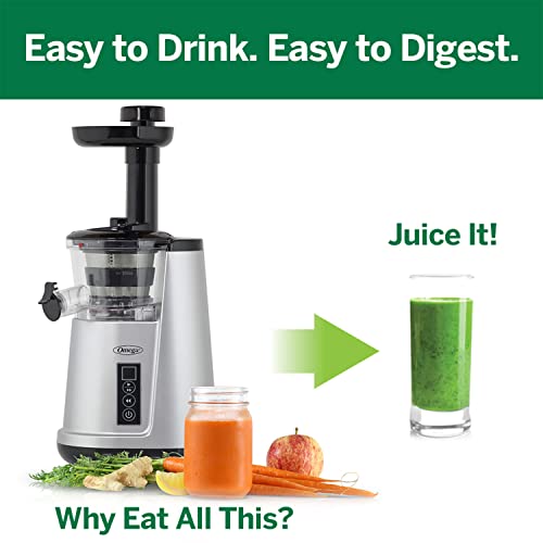 Juicer Cold Press 365 Vertical 65 RPM Slow Masticating Compact Extractor for Fruits and Vegetables with 3 Stage Auger & BPA (Silver Vertical)