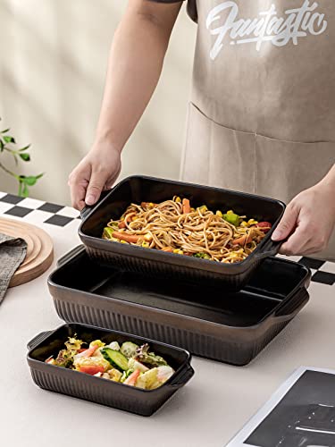 Ceramic Baking Dishes (Black)