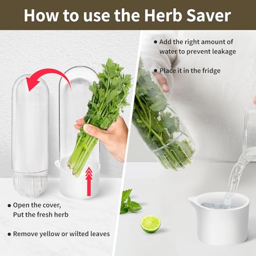 Herb Keeper for Refrigerator (4PCS)