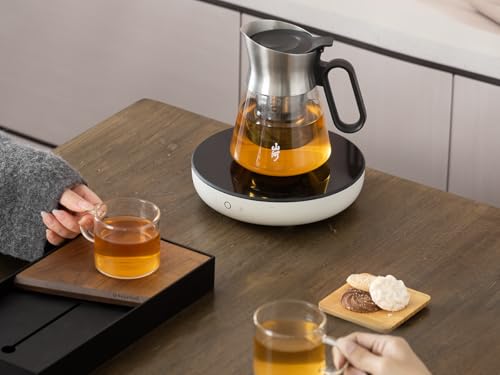 23oz Small Glass Teapot with Infuser For Loose Leaf Tea Steeper (23 oz (No Cups))